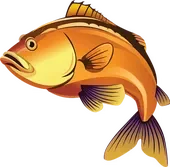 Big Oranges fish artwork
